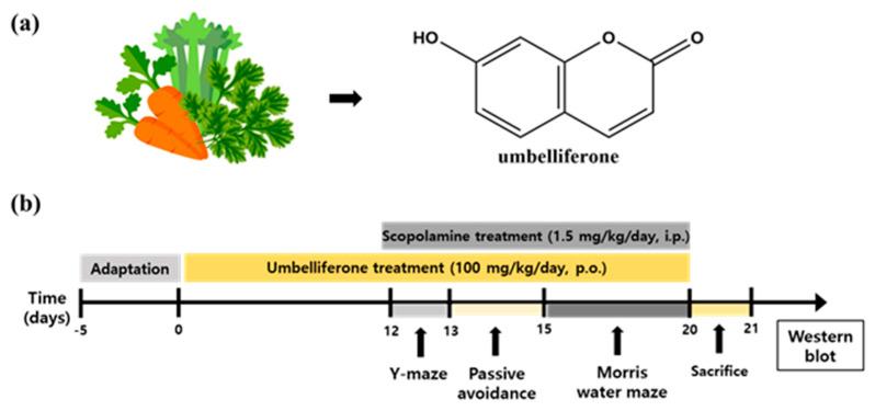 https://cdn.ncbi.nlm.nih.gov/pmc/blobs/f4d3/10221769/a8db0e19ce43/nutrients-15-02351-g001.jpg