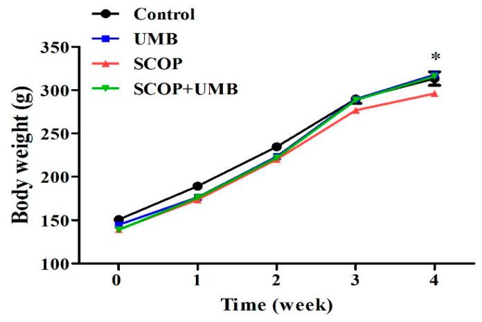 https://cdn.ncbi.nlm.nih.gov/pmc/blobs/f4d3/10221769/ea6083daa3a0/nutrients-15-02351-g003.jpg