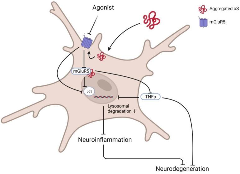 https://cdn.ncbi.nlm.nih.gov/pmc/blobs/f4d3/9032558/44d63888cb6a/biomedicines-10-00864-g003.jpg