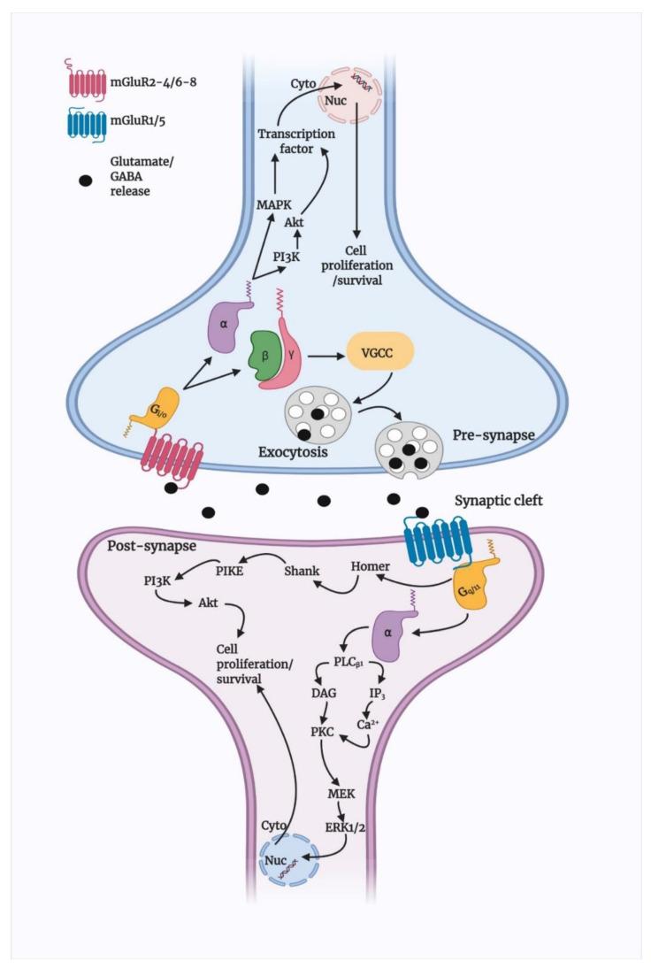 https://cdn.ncbi.nlm.nih.gov/pmc/blobs/f4d3/9032558/78b4d49081c6/biomedicines-10-00864-g001.jpg