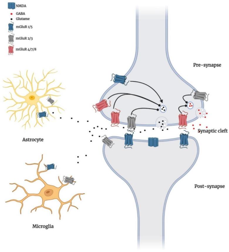 https://cdn.ncbi.nlm.nih.gov/pmc/blobs/f4d3/9032558/ce6f9b40108a/biomedicines-10-00864-g002.jpg