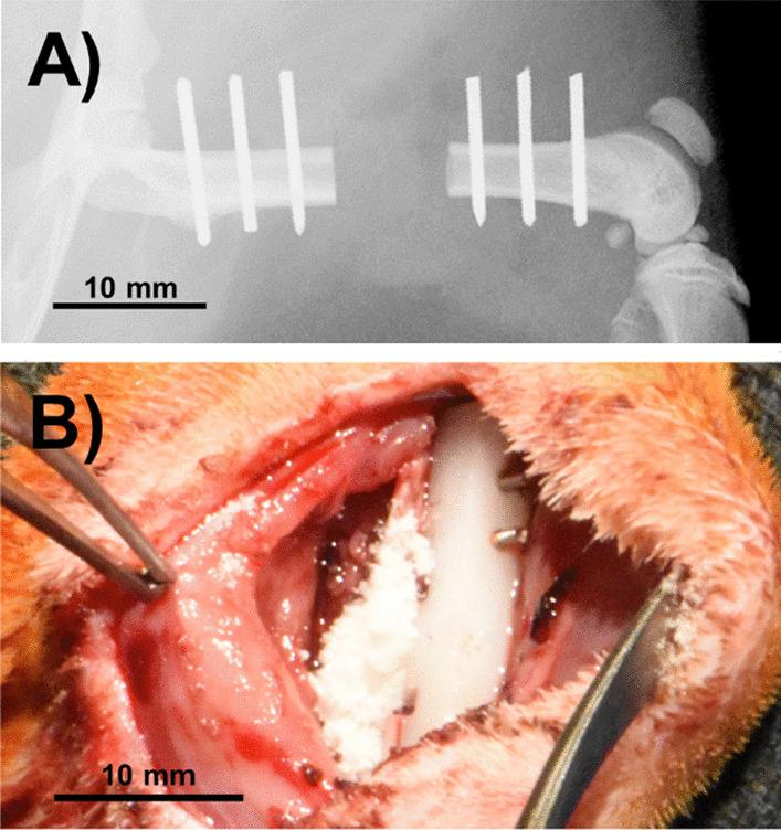 https://cdn.ncbi.nlm.nih.gov/pmc/blobs/f4d5/9284756/d5f9958728c6/13018_2022_3199_Fig1_HTML.jpg