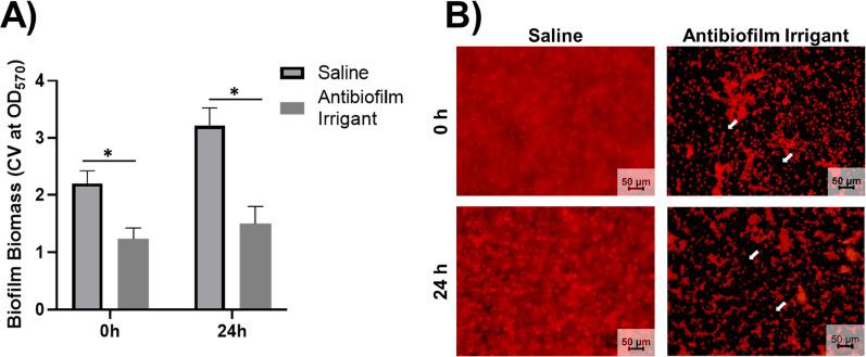 https://cdn.ncbi.nlm.nih.gov/pmc/blobs/f4d5/9284756/e4a6f1395047/13018_2022_3199_Fig2_HTML.jpg