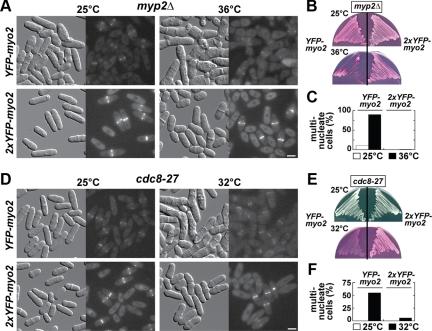 https://cdn.ncbi.nlm.nih.gov/pmc/blobs/f4d7/2836979/457abd3881fc/zmk0061093980004.jpg