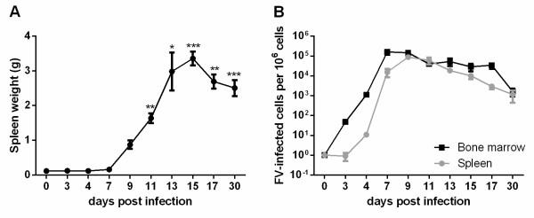 https://cdn.ncbi.nlm.nih.gov/pmc/blobs/f4d9/3826539/6d314a5c3003/1742-4690-10-127-1.jpg