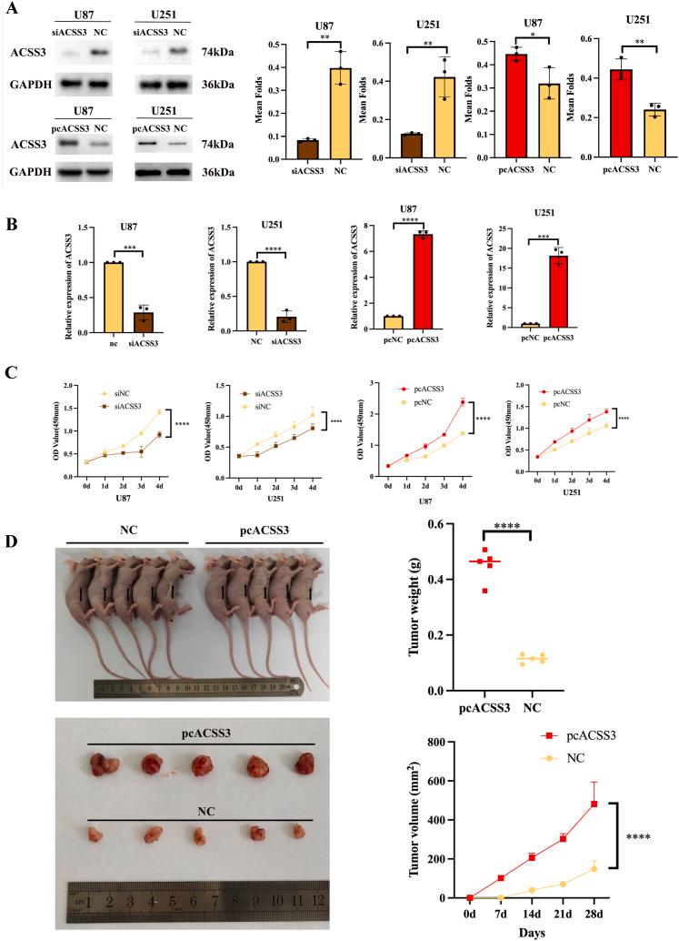 https://cdn.ncbi.nlm.nih.gov/pmc/blobs/f4db/11334676/7c40ad32e609/gr15.jpg