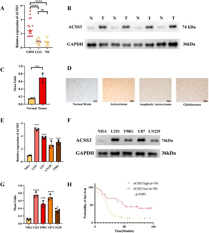 https://cdn.ncbi.nlm.nih.gov/pmc/blobs/f4db/11334676/9b9c1417a85b/gr14.jpg