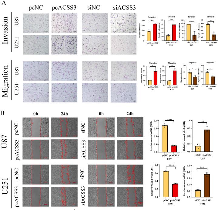 https://cdn.ncbi.nlm.nih.gov/pmc/blobs/f4db/11334676/dd8da9ccb654/gr16.jpg