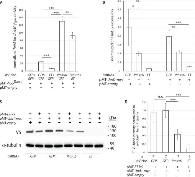 https://cdn.ncbi.nlm.nih.gov/pmc/blobs/f4dd/8727353/2ea4aac027f0/fimmu-12-729631-g002.jpg