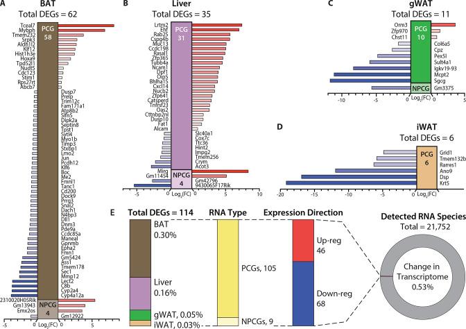 https://cdn.ncbi.nlm.nih.gov/pmc/blobs/f4de/10229126/6da8fbee46ef/elife-86023-fig5.jpg