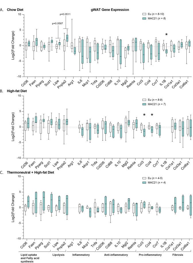 https://cdn.ncbi.nlm.nih.gov/pmc/blobs/f4de/10229126/6e3af0c1bb08/elife-86023-fig5-figsupp4.jpg