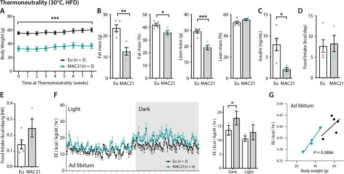 https://cdn.ncbi.nlm.nih.gov/pmc/blobs/f4de/10229126/75b9474d91e0/elife-86023-fig7.jpg