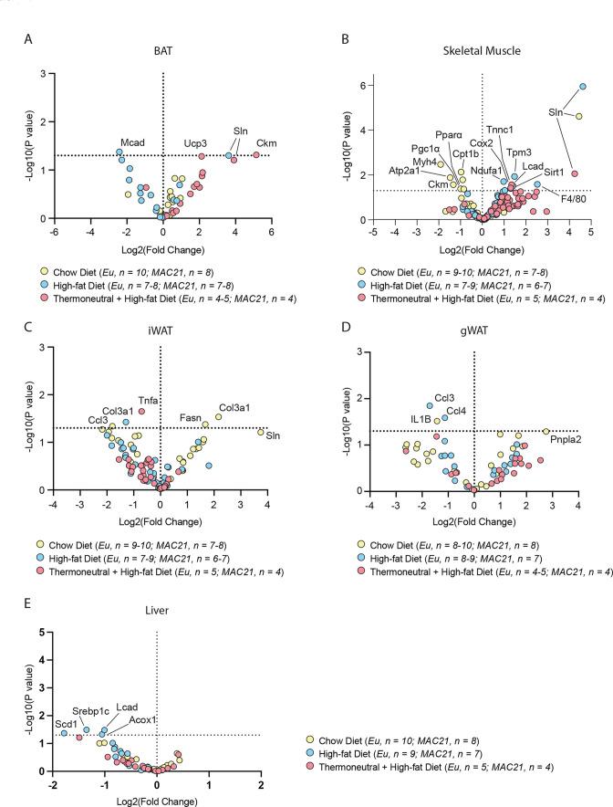 https://cdn.ncbi.nlm.nih.gov/pmc/blobs/f4de/10229126/aaefa1eb5289/elife-86023-fig5-figsupp1.jpg