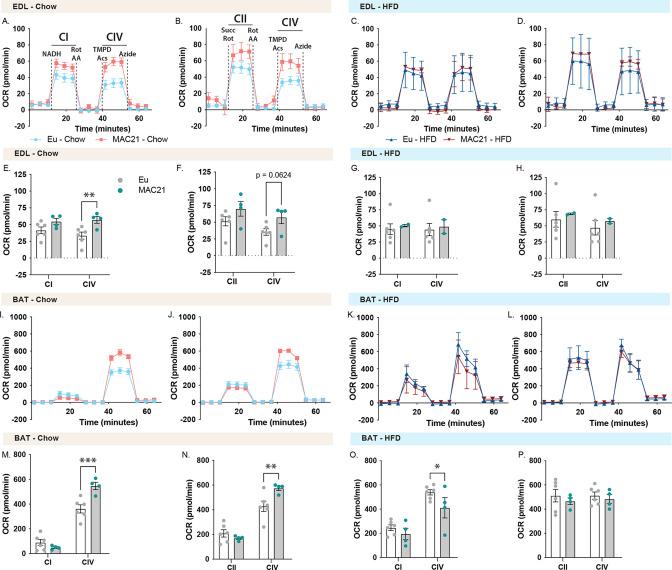 https://cdn.ncbi.nlm.nih.gov/pmc/blobs/f4de/10229126/eaa410b3f099/elife-86023-fig6-figsupp6.jpg