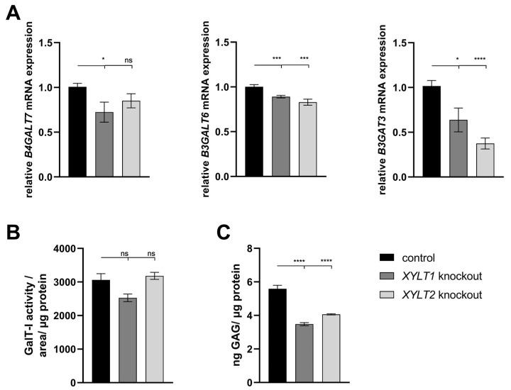 https://cdn.ncbi.nlm.nih.gov/pmc/blobs/f4df/10967791/1c8b66cf0d3c/biomedicines-12-00572-g002.jpg