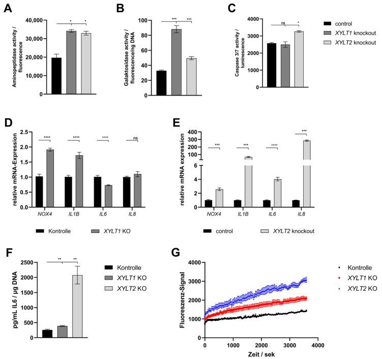 https://cdn.ncbi.nlm.nih.gov/pmc/blobs/f4df/10967791/3939e5477bde/biomedicines-12-00572-g004.jpg