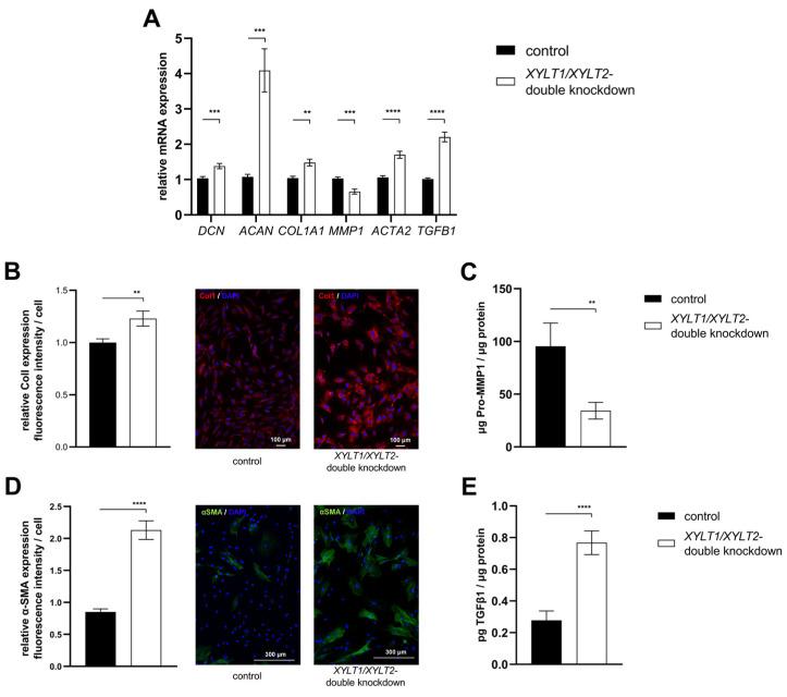 https://cdn.ncbi.nlm.nih.gov/pmc/blobs/f4df/10967791/403e86459b21/biomedicines-12-00572-g007.jpg