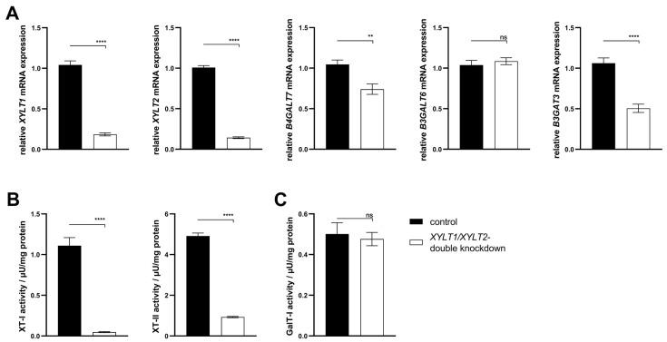 https://cdn.ncbi.nlm.nih.gov/pmc/blobs/f4df/10967791/cd19c2ce6d1e/biomedicines-12-00572-g006.jpg