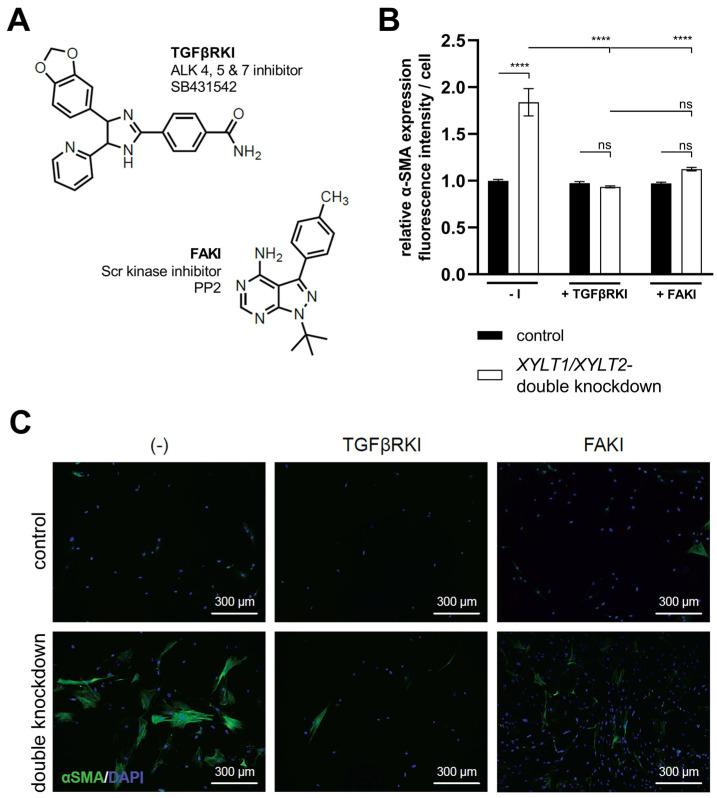 https://cdn.ncbi.nlm.nih.gov/pmc/blobs/f4df/10967791/e3083e32afc4/biomedicines-12-00572-g008.jpg