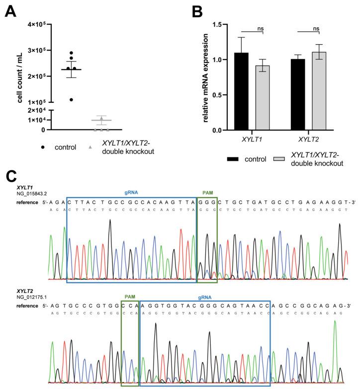 https://cdn.ncbi.nlm.nih.gov/pmc/blobs/f4df/10967791/f80ddc9d5689/biomedicines-12-00572-g005.jpg