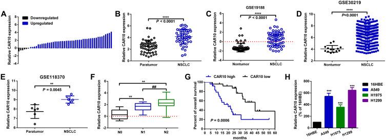 https://cdn.ncbi.nlm.nih.gov/pmc/blobs/f4e2/7923957/01e663c7b190/CMAR-13-1967-g0001.jpg