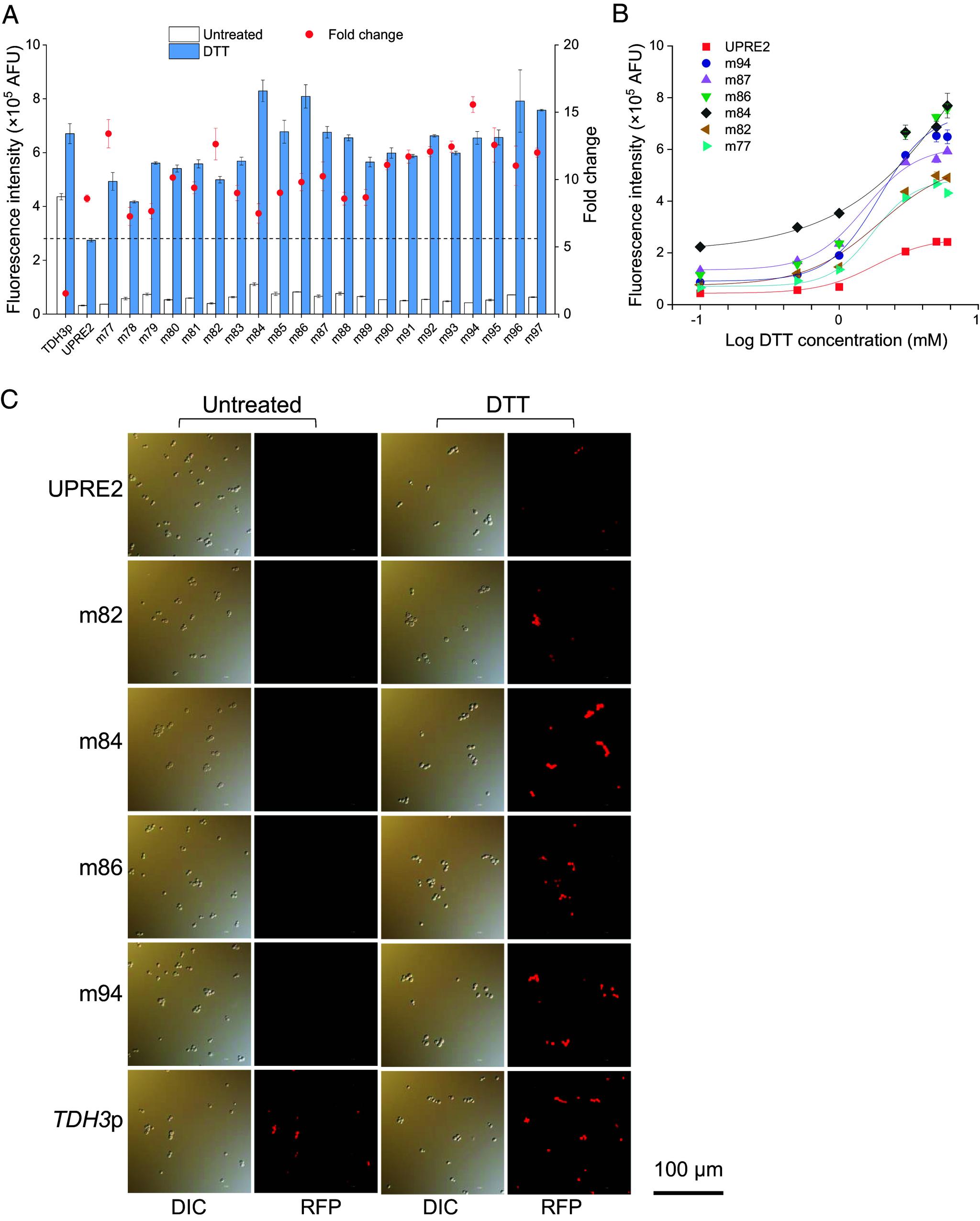 https://cdn.ncbi.nlm.nih.gov/pmc/blobs/f4e8/11087760/2c4064f0ef01/pnas.2315729121fig03.jpg