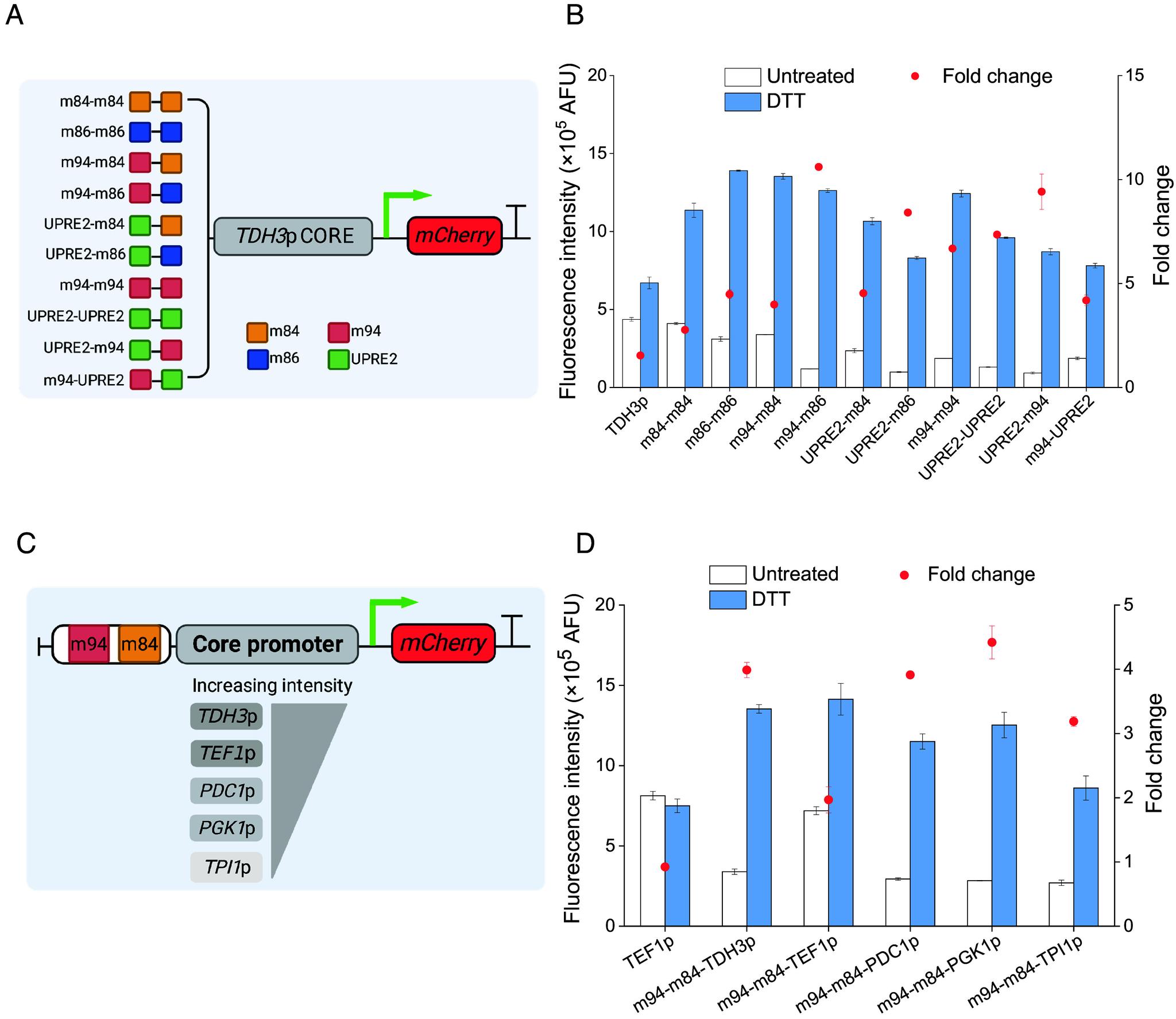 https://cdn.ncbi.nlm.nih.gov/pmc/blobs/f4e8/11087760/42fcbf5fd7ee/pnas.2315729121fig05.jpg