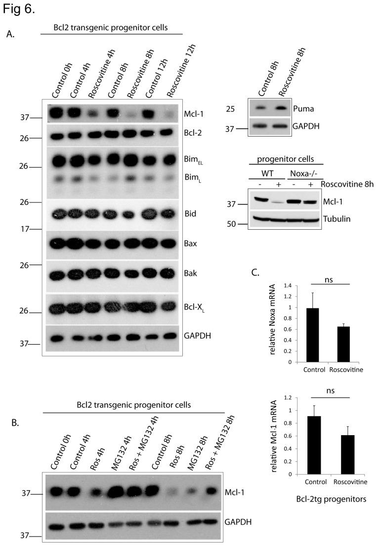 https://cdn.ncbi.nlm.nih.gov/pmc/blobs/f4ec/3815126/0b29261da0c7/pone.0079352.g006.jpg