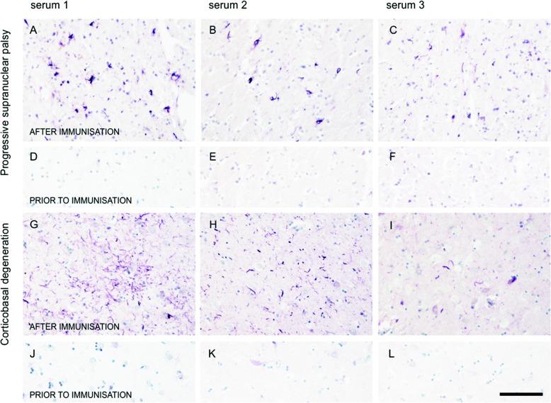 https://cdn.ncbi.nlm.nih.gov/pmc/blobs/f4ed/6201586/6fce5e6b9a3a/13195_2018_436_Fig5_HTML.jpg