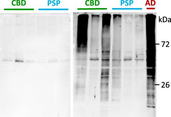 https://cdn.ncbi.nlm.nih.gov/pmc/blobs/f4ed/6201586/7e045f7aee73/13195_2018_436_Fig3_HTML.jpg