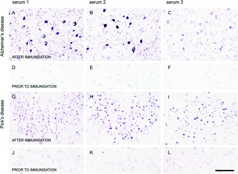 https://cdn.ncbi.nlm.nih.gov/pmc/blobs/f4ed/6201586/8ede3b1600b1/13195_2018_436_Fig4_HTML.jpg