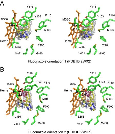 https://cdn.ncbi.nlm.nih.gov/pmc/blobs/f4ee/2850312/a5fd0a793968/pntd.0000651.g005.jpg