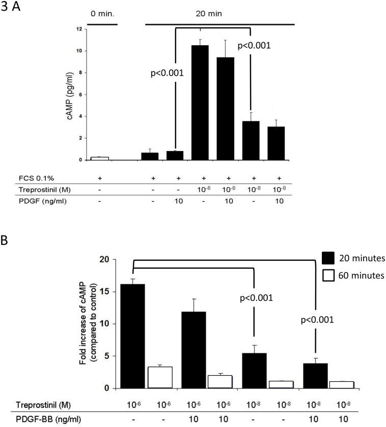 https://cdn.ncbi.nlm.nih.gov/pmc/blobs/f4ef/6211661/32d3c1150ba3/pone.0205195.g003.jpg