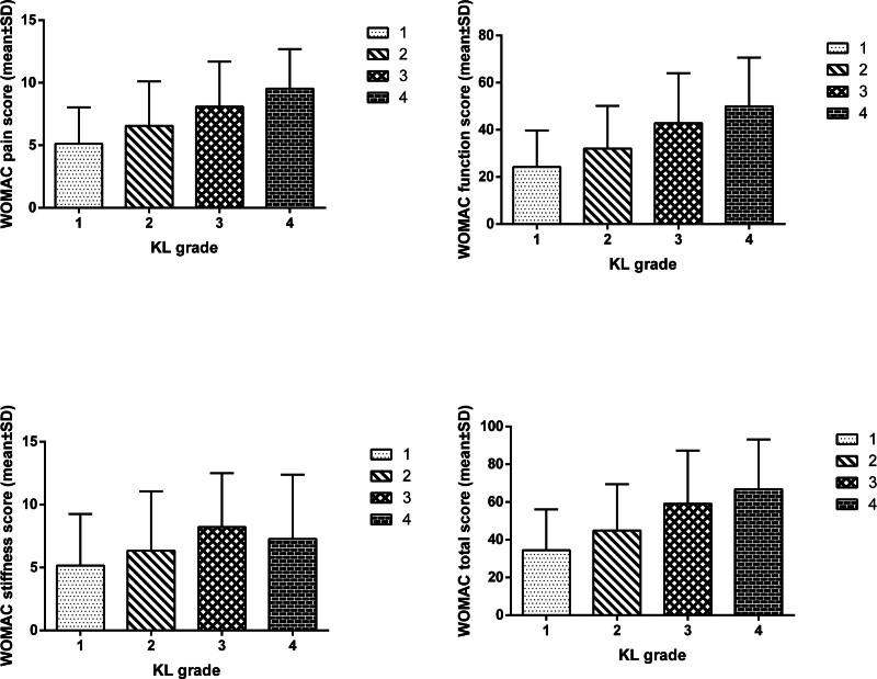 https://cdn.ncbi.nlm.nih.gov/pmc/blobs/f4f1/11191897/0fbed3acc547/medi-103-e38567-g001.jpg