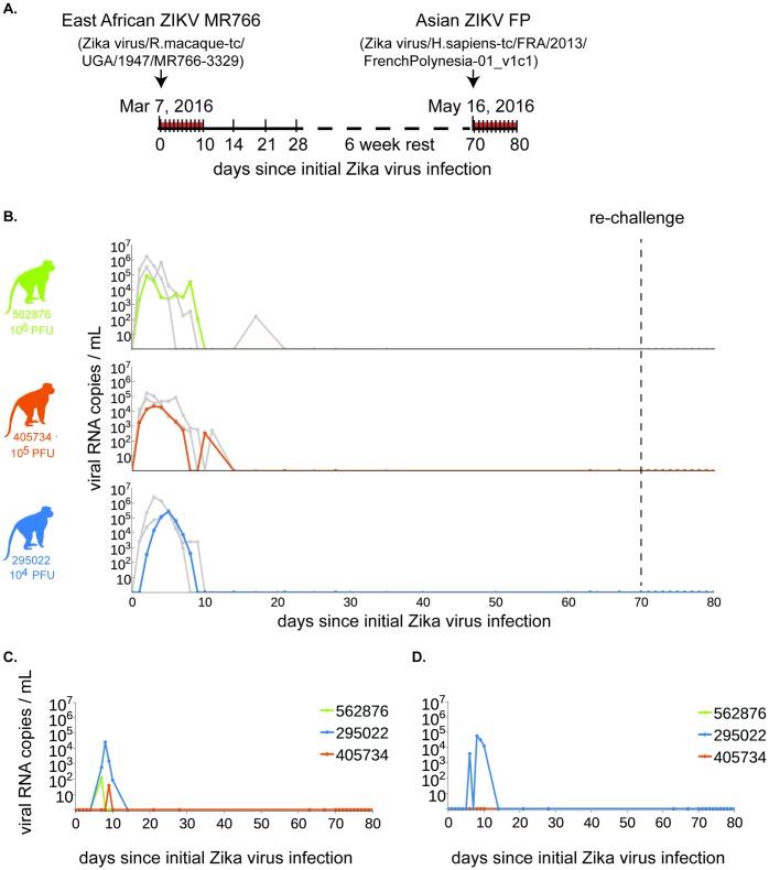 https://cdn.ncbi.nlm.nih.gov/pmc/blobs/f4f1/5135040/af9647671ee8/pntd.0005168.g002.jpg