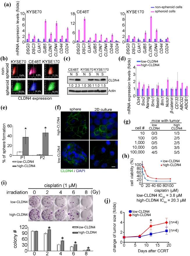 https://cdn.ncbi.nlm.nih.gov/pmc/blobs/f4f2/6767752/a3a71ca48845/10.1177_1758835919875324-fig3.jpg