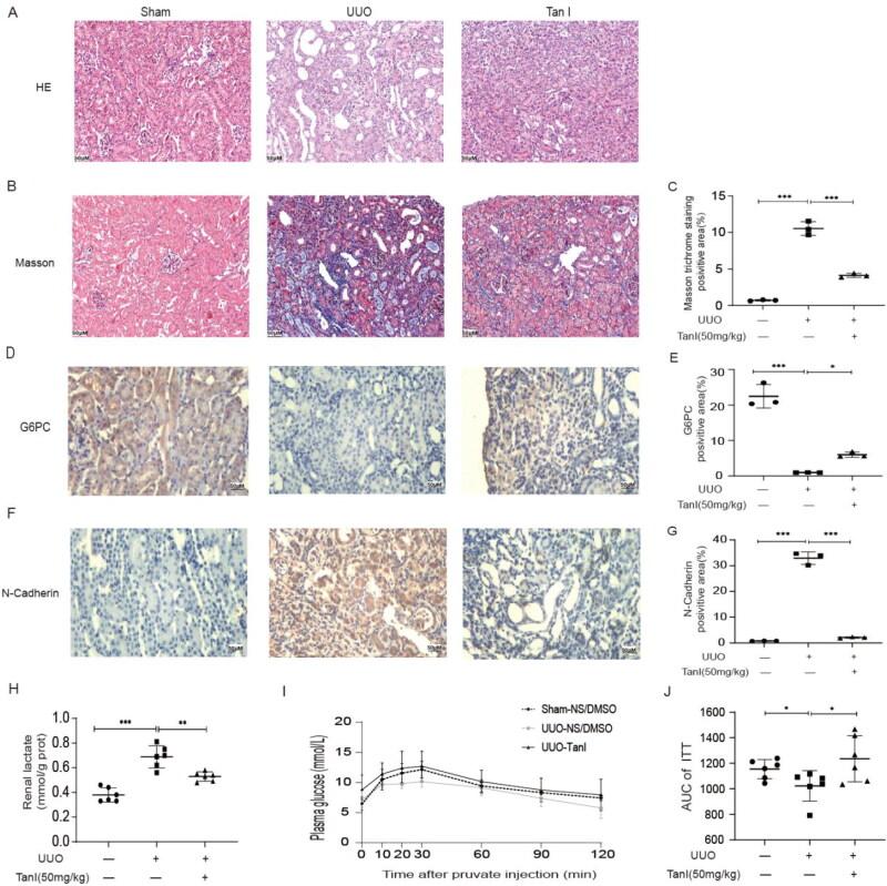 https://cdn.ncbi.nlm.nih.gov/pmc/blobs/f4f3/11632924/0962cfe01e3f/IRNF_A_2433710_F0001_C.jpg
