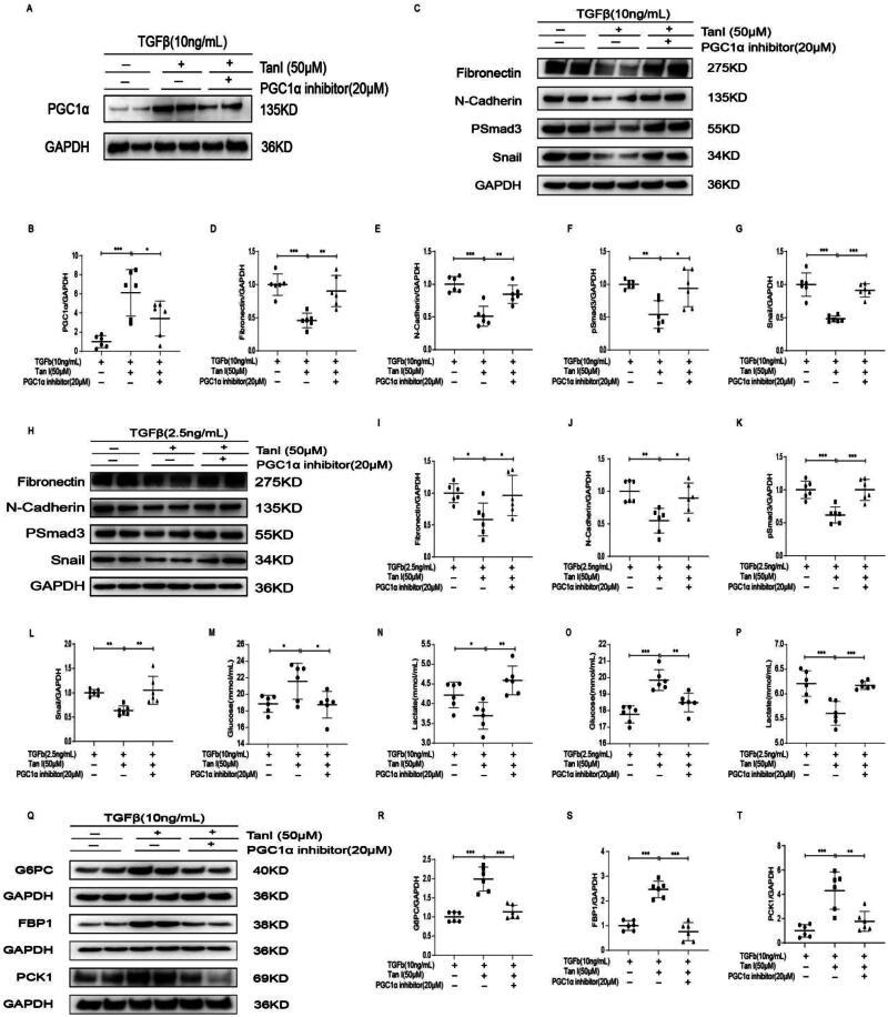 https://cdn.ncbi.nlm.nih.gov/pmc/blobs/f4f3/11632924/92c5b057677d/IRNF_A_2433710_F0006_B.jpg