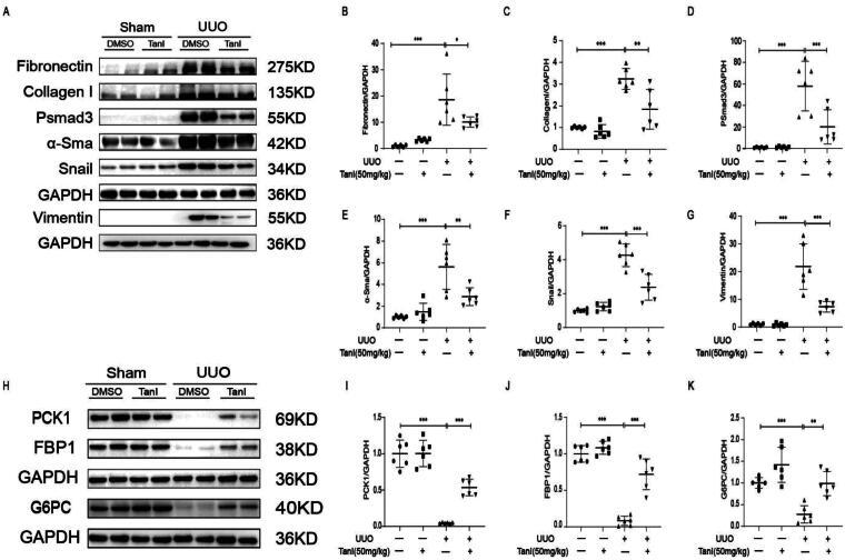 https://cdn.ncbi.nlm.nih.gov/pmc/blobs/f4f3/11632924/972681e02617/IRNF_A_2433710_F0002_B.jpg