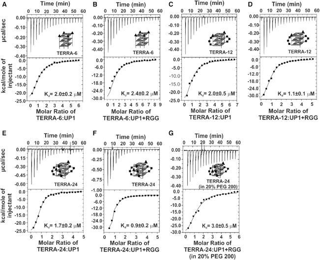 https://cdn.ncbi.nlm.nih.gov/pmc/blobs/f4f3/7192615/7c7b310018ea/gkaa134fig3.jpg