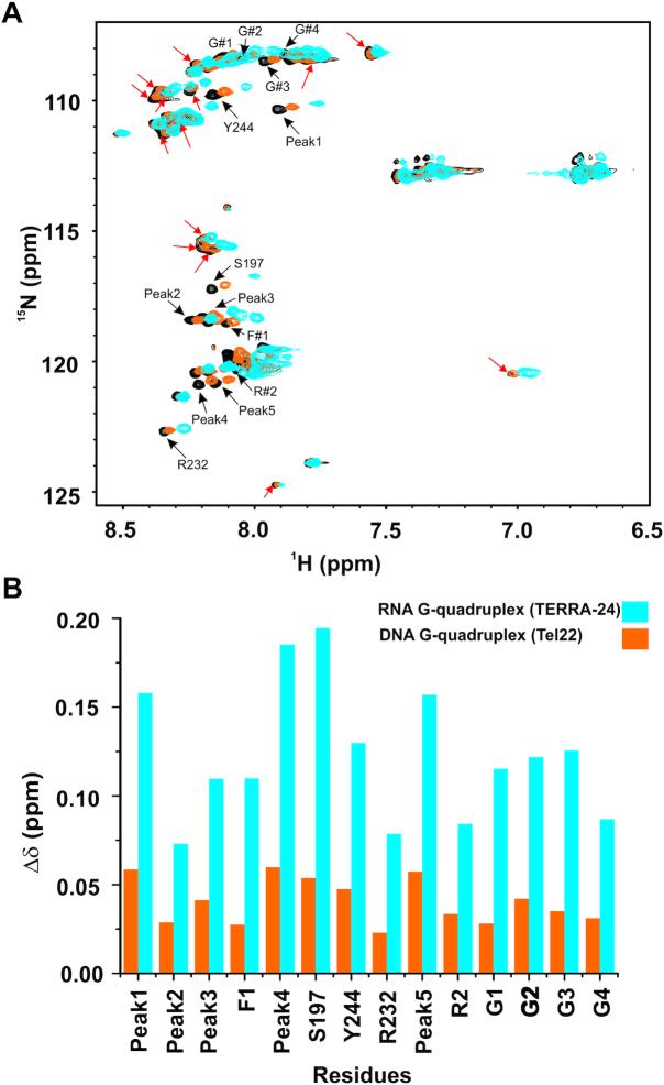 https://cdn.ncbi.nlm.nih.gov/pmc/blobs/f4f3/7192615/d65e19f24cad/gkaa134fig10.jpg