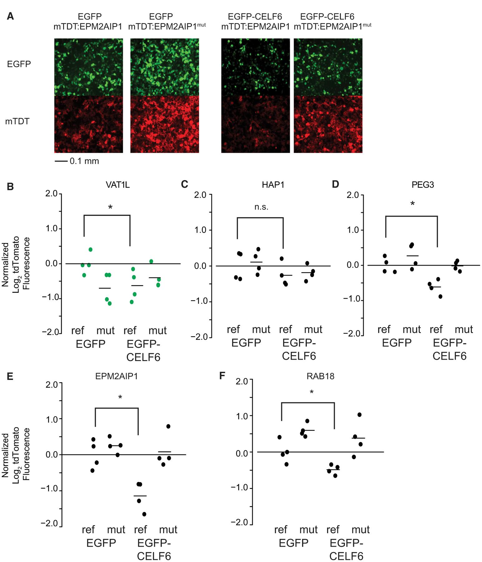 https://cdn.ncbi.nlm.nih.gov/pmc/blobs/f4f3/7780154/9a8ead21d833/nihms-1657603-f0005.jpg