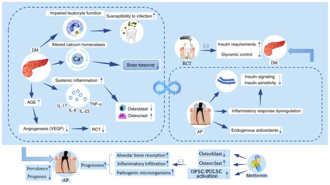 https://cdn.ncbi.nlm.nih.gov/pmc/blobs/f4f7/10249585/484c2305d18b/IJMM-52-1-05263-g01.jpg