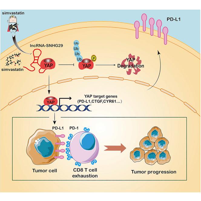 https://cdn.ncbi.nlm.nih.gov/pmc/blobs/f4f7/8530930/c4cea95df0dd/fx1.jpg