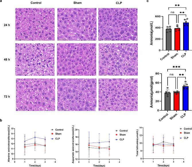 https://cdn.ncbi.nlm.nih.gov/pmc/blobs/f4f8/11131257/211bf1f16e3f/12974_2024_3135_Fig2_HTML.jpg