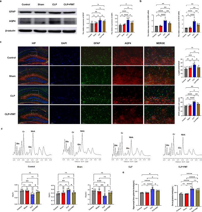 https://cdn.ncbi.nlm.nih.gov/pmc/blobs/f4f8/11131257/850d2e0376a8/12974_2024_3135_Fig6_HTML.jpg