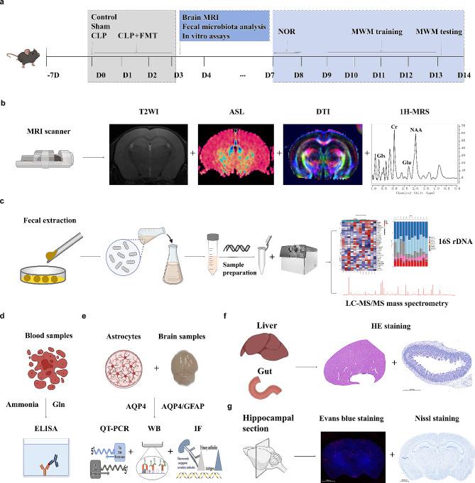 https://cdn.ncbi.nlm.nih.gov/pmc/blobs/f4f8/11131257/978d260c67a5/12974_2024_3135_Fig1_HTML.jpg
