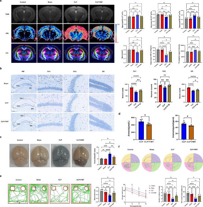 https://cdn.ncbi.nlm.nih.gov/pmc/blobs/f4f8/11131257/b858648eff14/12974_2024_3135_Fig5_HTML.jpg