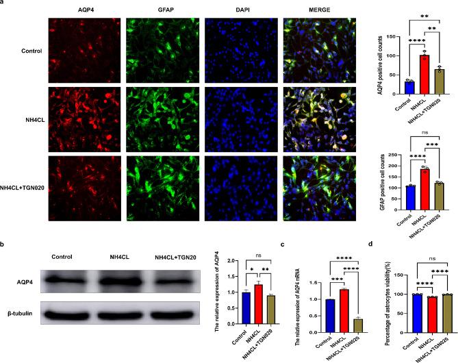 https://cdn.ncbi.nlm.nih.gov/pmc/blobs/f4f8/11131257/b9d973395183/12974_2024_3135_Fig7_HTML.jpg