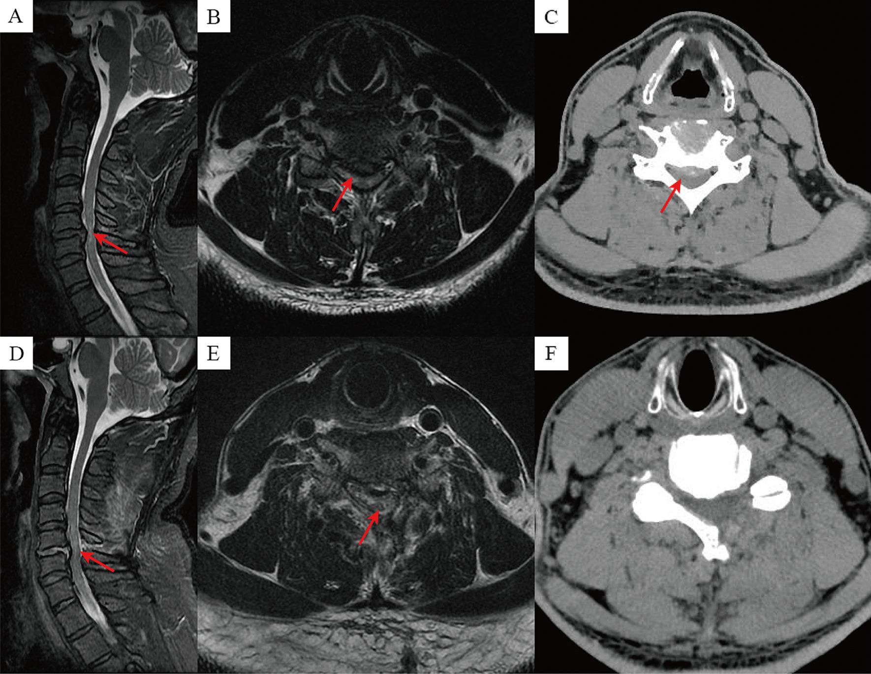 https://cdn.ncbi.nlm.nih.gov/pmc/blobs/f4fb/10998346/73ca1a5c7f56/13018_2024_4710_Fig3_HTML.jpg